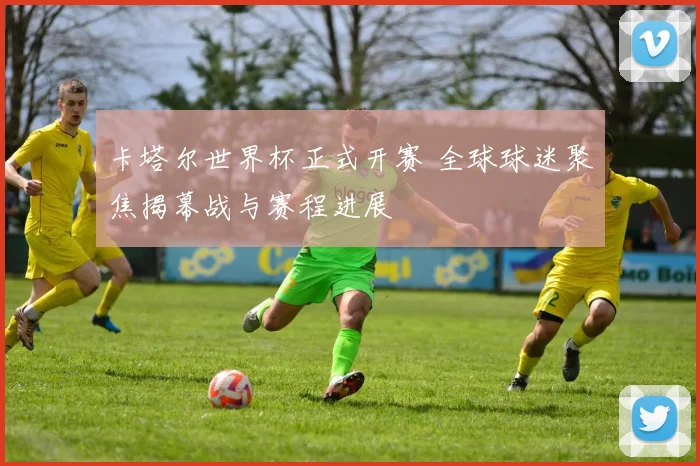 卡塔尔世界杯正式开赛 全球球迷聚焦揭幕战与赛程进展