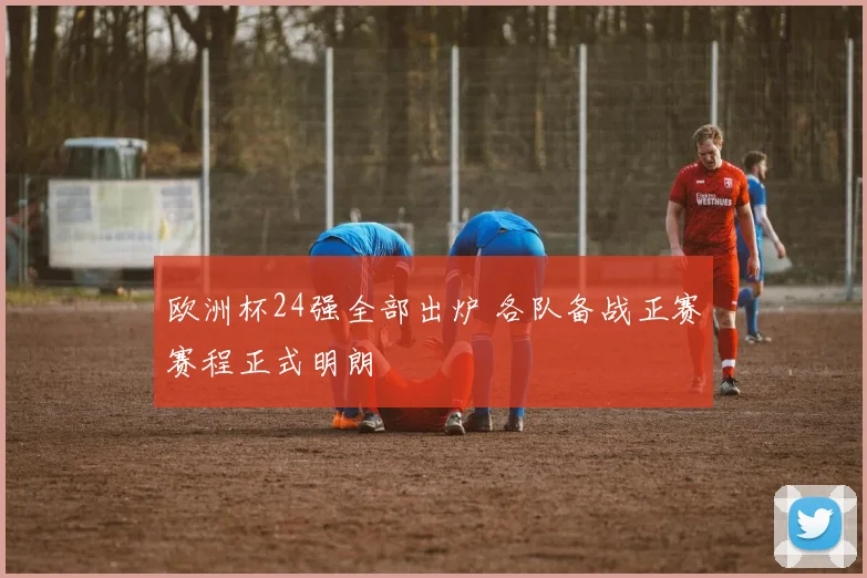 欧洲杯24强全部出炉 各队备战正赛赛程正式明朗